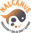 Nalcahue